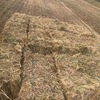 Rye Clover Small Squares. 3000 Bales
