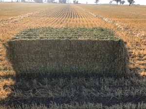 Wheaten Hay 8x4x3 Bales 'New Season'