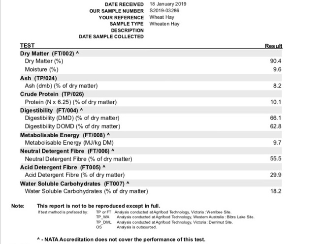 Wheaten Hay  200 Bales