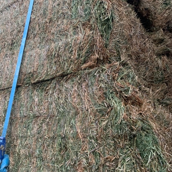 A1 Vetch Hay Seller to Freight