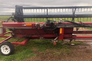 2004 Case WDX1701 Windrower with 25ft Case Draper Front