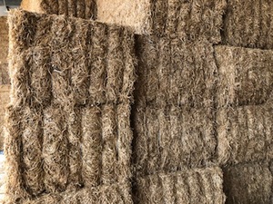 2019 Vetch Hay 8x4x3 HD