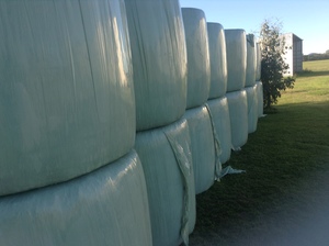SILAGE 4X4 ROUNDS
