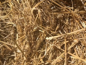 Wheat Straw 8x4x3
