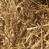 Wheat Straw 8x4x3