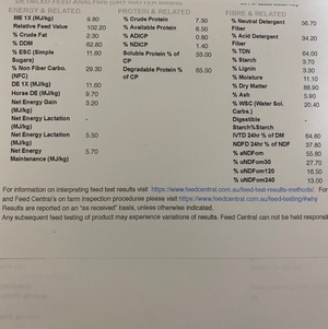 Oaten Hay 8x4x3 Bales (New Season 20/21)