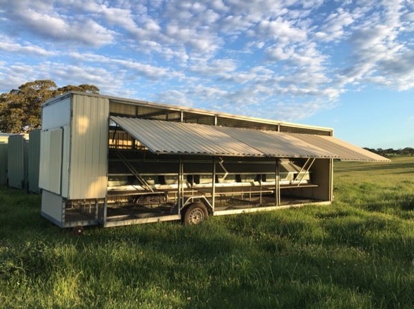 Automated Portable Chicken Caravans for Sale 550
