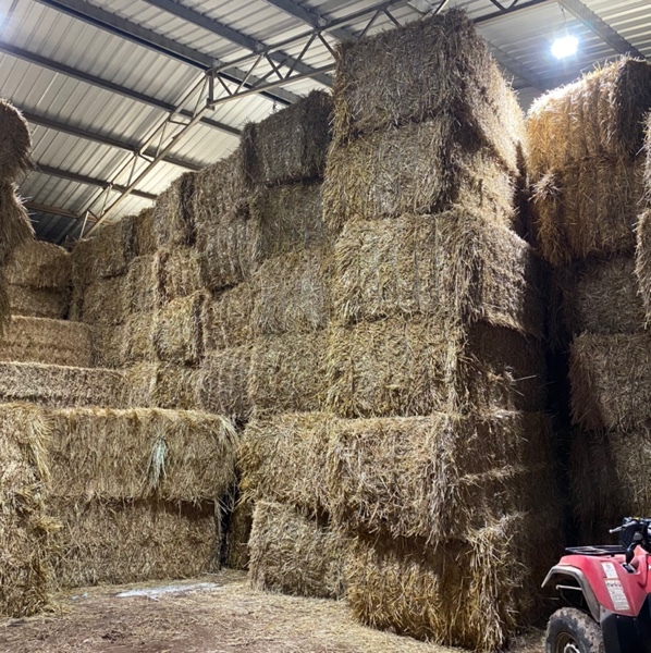 Wheaten Straw 500kg 8x4x3 Bales