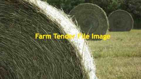 500 x Triticale Straw 6x4 Round Bales