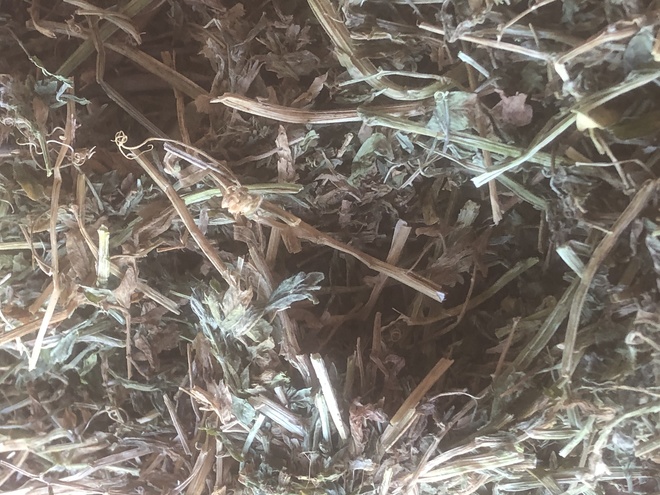 vetch hay for sale 