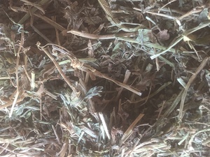 vetch hay for sale
