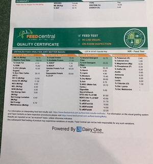 300mt Canola Hay 8x4x3 Bales 'New Season'