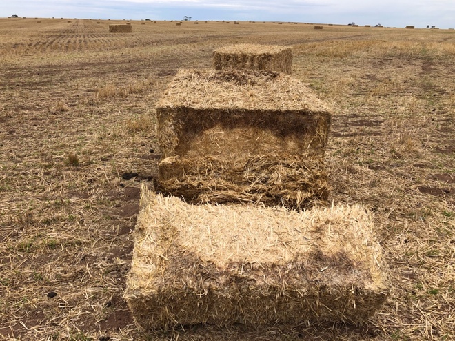 Wheaten Straw 8x4x3 Header Trails + Freight