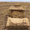 Wheaten Straw 8x4x3 Header Trails + Freight