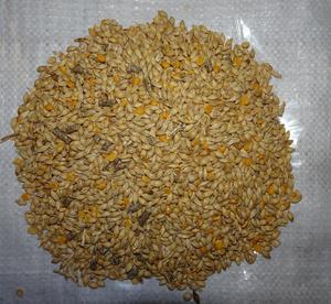 CopRice Early Weaned Lamb Blend 18%