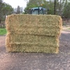 Oaten Hay