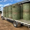 Lucerne Hay 4x4 & 5x4 Round Bales (New Season)