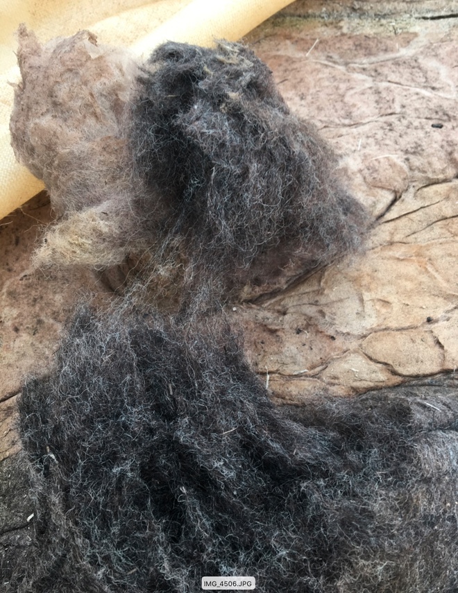 Course Wool For Sale in Bales 