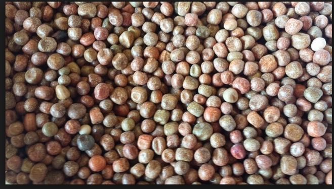 Parafield Peas WANTED 20-30t