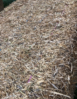 27.5mt Canola Hay 550kg 8x4x3 Bales