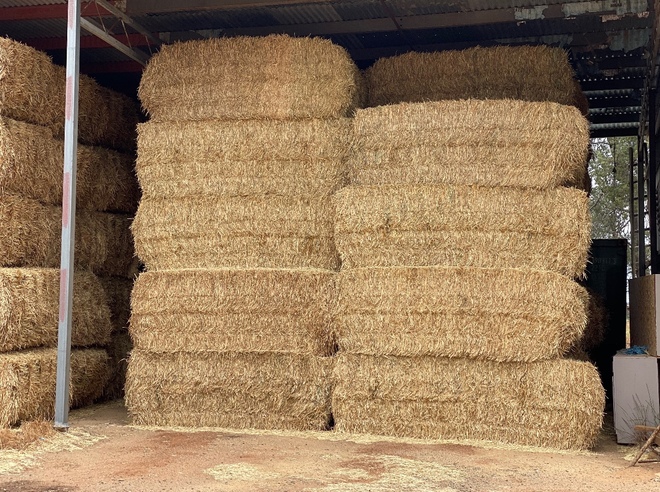 100mt Wheaten Hay 600kg 8x4x3 Bales