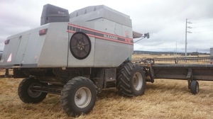 1997 R72 Agco Gleaner Header with 36' Front & Trailer
