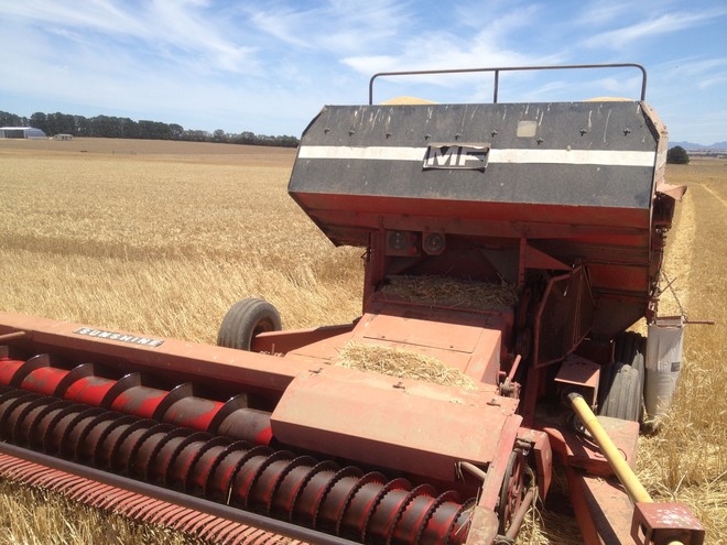 Massey Ferguson 3342 PTO Harvester
