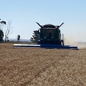 2015 32ft Shelboune Stripper Front 