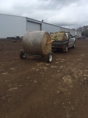 Bale Buggy Elsworth NEW
