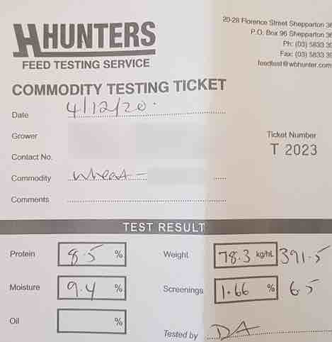 Certified Organic Wheat Seed 