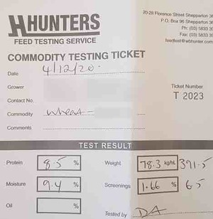 Certified Organic Wheat Seed 