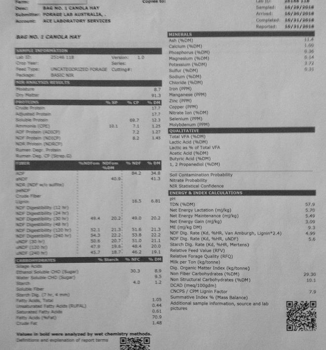 36 bales x Canola Hay Protein 17.7 Conditioned & Chopped