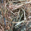 Oaten Hay 560kg 8x4x3 Bales + Freight