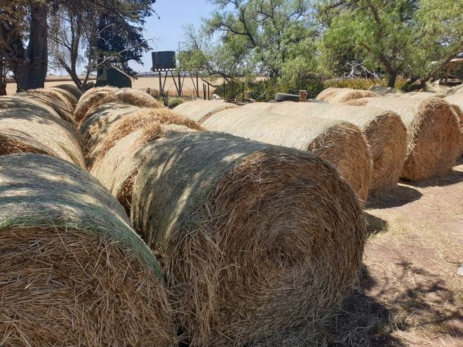 Wheaten Hay Round Bales. Price per Bale + GST.  New Season