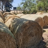 Wheaten Hay Round Bales. Price per Bale + GST.  New Season