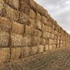 190mt Canola Hay 500kg 8x4x3 Bales