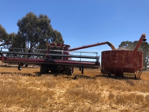2002 Case IH 2388 Header with 1042 Draper Front & Comb Trailer