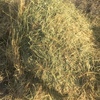 Oaten hay
