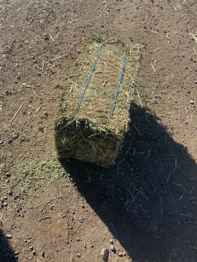 Compress Lucerne Squares