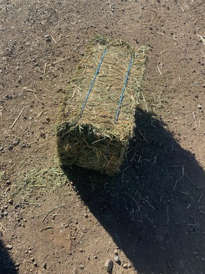 Compress Lucerne Squares