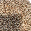 200/mt Feed Lentils For Sale