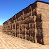 200mt Vetch Hay 600kg 8x4x3 Bales (New Season)