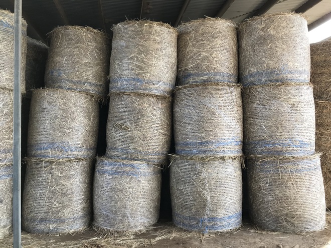 Fodder 4x4 Round Bales