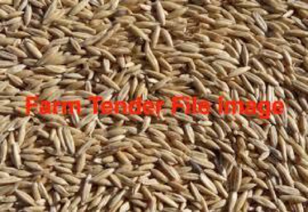 Graza 50 Oats wanted 