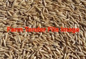 Graza 50 Oats wanted 