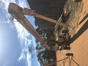 44 foot Heaslip Double Cup Elevator