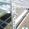 Cattle Ramp