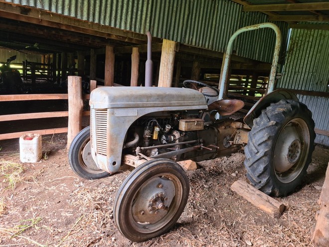 Grey Fergie Tractor