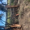 Sheep Yard Panels