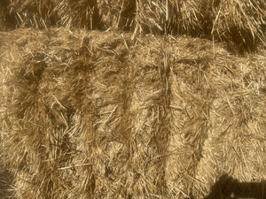 Wheat/Barley Straw 550Kg 8x4x3 Bales